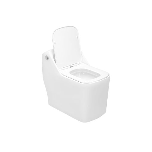 Bồn cầu DeMuhler ML-S3W - Image 2