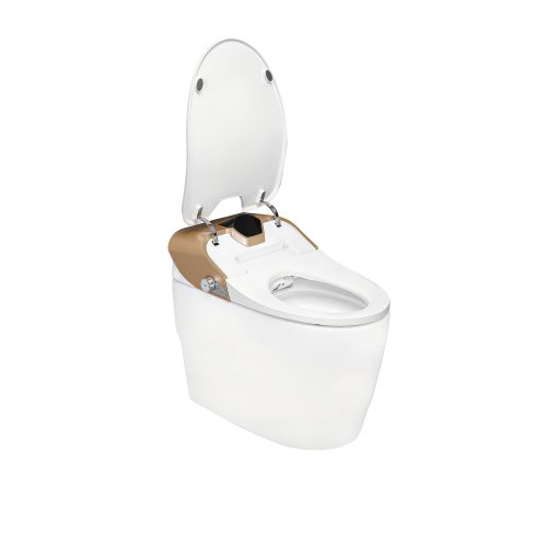 Bồn cầu DeMuhler TL-I11 - Image 2