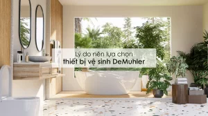 6 Lý do nên lựa chọn thiết bị vệ sinh DeMuhler