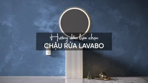 Hướng dẫn lựa chọn chậu rửa lavabo